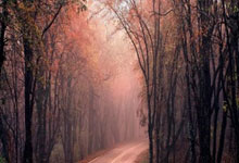 拒爆冷！联盟第1横扫快船，SGA29中7，哈登里程碑，西部第7易主.