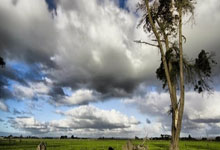 乐鱼体育官网：U20国足公布28人集训名单 备战主场亚洲杯2025-01-05.