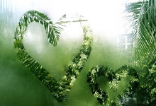 查拉尼亚谈詹姆斯:下赛季有可能是他的最后一季.