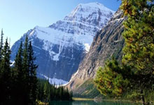 威士伯锦标赛首轮暂停米切尔等5人领先 谢奥菲勒T23.